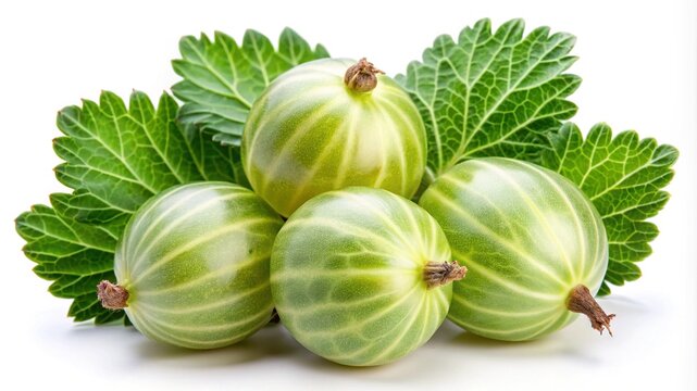 A vibrant arrangement of fresh gooseberries with lush green leaves on white