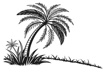Fototapeta premium palm trees silhouette