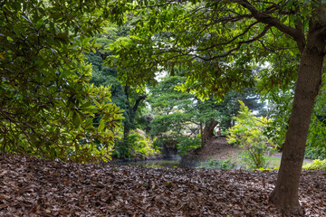 都心散歩　秋の気配が漂う浜離宮