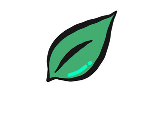green leaf icon