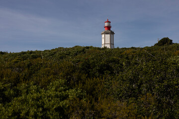 Latarnia Portugalia klif Portugal © Emilia