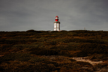 Latarnia Portugalia klif Portugal © Emilia