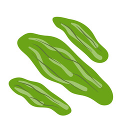 Illustration of Pickled Vegetables