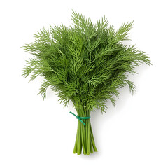 : Vibrant Green Dill A Captivating Culinary Photography Display
