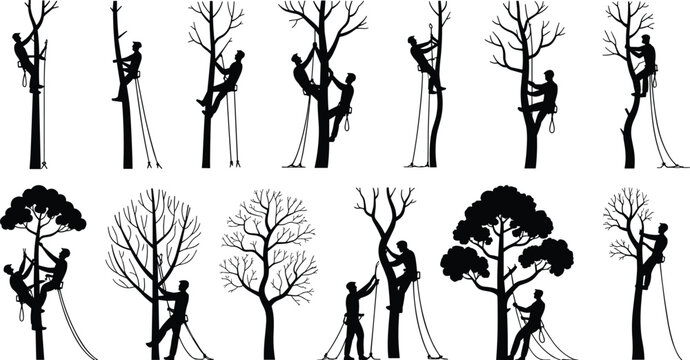 Tree climbers silhouette, arborist workers, tree trimming, climbing gear, outdoor work, forestry, safety equipment, nature care, professional tree service, vector illustration