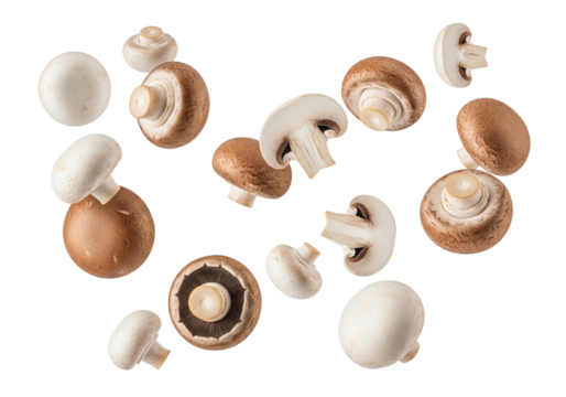 Fresh Mixed White Button and Brown Cremini Mushrooms Floating and Scattered on Pure White Background, Organic Food Ingredients