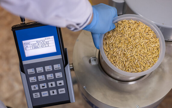 A bowl with grain is installed in a radiometer designed to measure the volumetric VA and specific activity SAA of gamma-emitting radionuclides 1311, 134Cs, 137Cs, 40K, 226Ra, 232Th