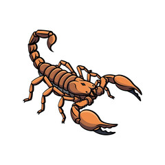 scorpion vector with white background