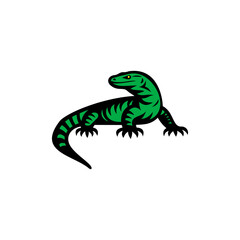 Vector illustration of a green monitor lizard with bold black markings isolated on white 