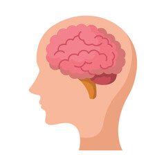 A profile of a human head with a pink brain inside