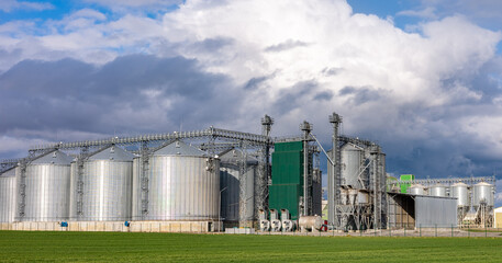 Silos on agro-industrial complex with seed cleaning and drying line for grain storage. Four silos in rural area at the field in spring time with green field in foreground and blue sky