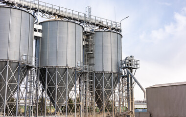 Chicken farm grain storage silos for the storage of poultry feed under blue sky. View of modern granaries for storing cereal grains outdoors.