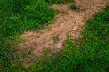 A narrow, bare dirt trail is visible in the middle of lush green grass, showing signs of frequent foot traffic and erosion.