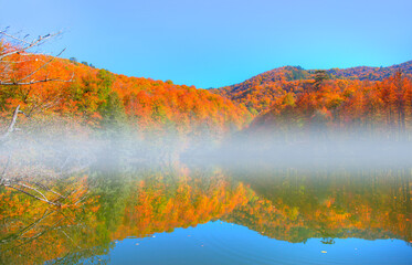 Naklejka premium Fallen red and yellow leaves in autumn forest - Autumn forest landscape reflection on the water with wooden pier - Autumn landscape in (seven lakes) Yedigoller Park Bolu, Turkey