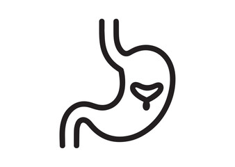 Obraz premium Stomach line art Vector
