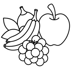 Fruit & Vegetable Line Collection