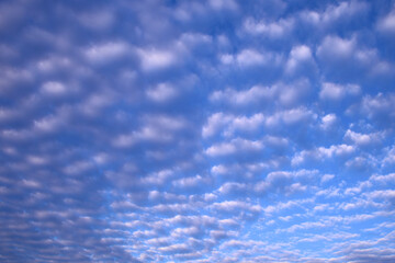 秋の空