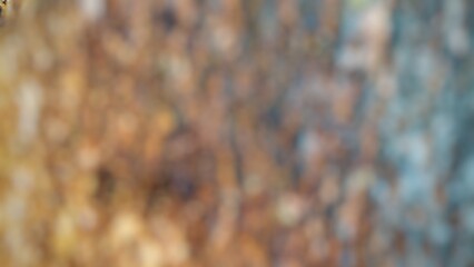 This is a highly blurred, out-of-focus abstract image of a textured surface, likely a tree trunk. 