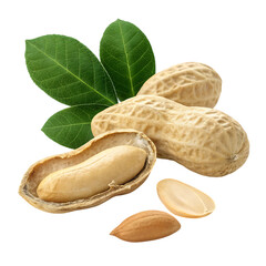 Peanuts in shell with leaves isolated on transparent background