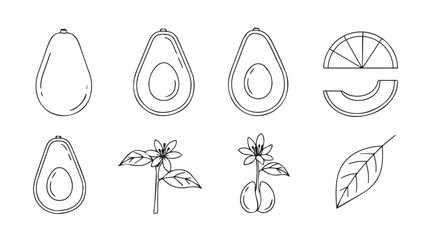 Hand drawn avocado elements collection featuring whole fruit halves and blooming branches for food graphics silhouette
