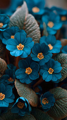 Vibrant Deep Blue Flowers with Striking Orange Yellow Centers and Intricately Veined Petals