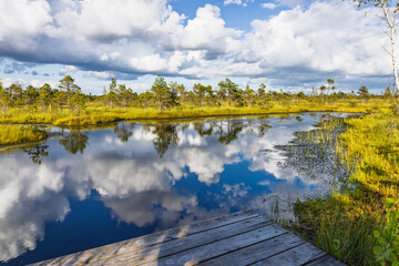 Pristine Bog Boardwalk over Mirror Like Wetland with Clouds Reflected. Kemeri Bog, Latvia