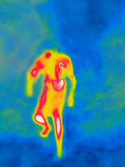 Zombie fantasy. A zombie without head, decapitated head. Monstrous mutilated man, acephalous monster, iron heart is moving in direction of viewer. Horror movie. Thermal Impressionism