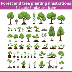Forest and Tree Planting Illustrations Set 3 &ndash; Nature Conservation Vectors of Green Forests, Woodland Growth, Climate Action, and Eco Protection
