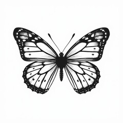 butterfly vector illustration