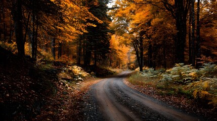 Naklejka premium Winding road through autumnal mountains 