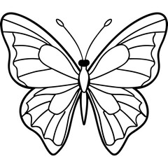 Minimalist Butterfly Outline Vector