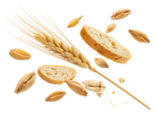 Barley with half slice falling and flotaing png
