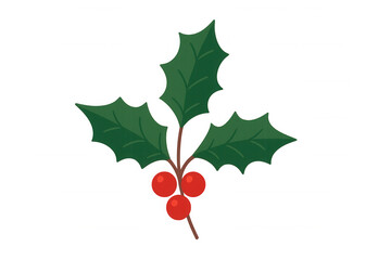 Christmas holly sprig with green leaves and red berries, festive winter holiday decoration, transparent background