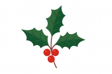 Christmas holly sprig with green leaves and red berries, festive winter holiday decoration, transparent background