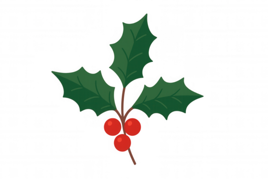 Christmas holly sprig with green leaves and red berries, festive winter holiday decoration, transparent background