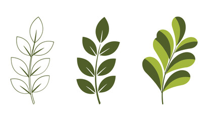 Three green leaf sprigs in different styles on white background leaves branch