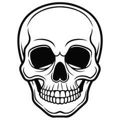 Fototapeta premium Detailed skull illustration, perfect for design use