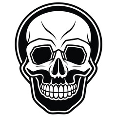 Fototapeta premium Detailed skull illustration, great for design projects