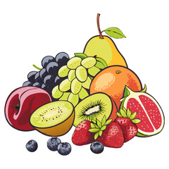 Tropical Fresh Fruit Mix Illustration - Vector