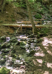 Wooden Footbridge over Creek in the Carpathians on a Sunny Summer Day