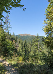 Summer Mountain Landscape of Borzhava Ridge in the Carpathians