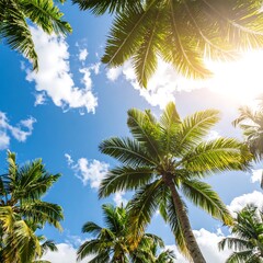 Obraz premium Tropical Palm Trees and Sky