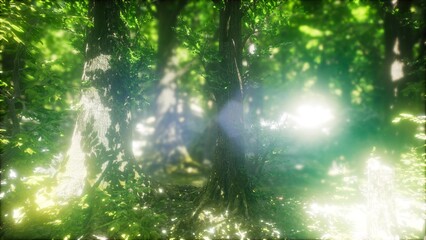Obraz premium Sunlight filters through a dense canopy, illuminating the verdant undergrowth and towering trees of a serene forest, creating an enchanting atmosphere rich in nature’s beauty.