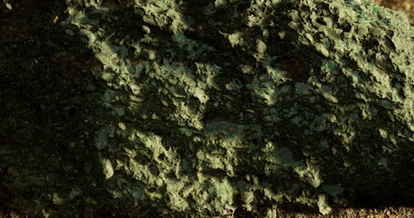 A close up view of a green stone showcasing intricate textures and patterns against a natural backdrop. The sunlight casts shadows, highlighting the stones unique features.