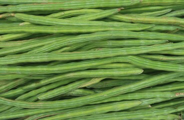 Drumstick or Moringa or Muringakka vegetable in the background