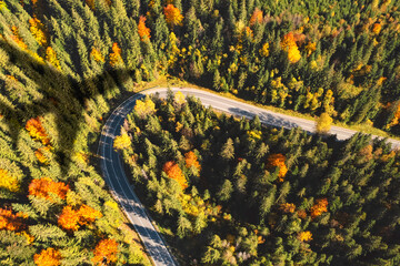 Airplane flying above forest and casting shadow on road and trees, above view