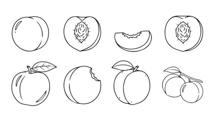 Whimsical hand-drawn sketch collection of fresh peaches and slices for artistic design silhouette