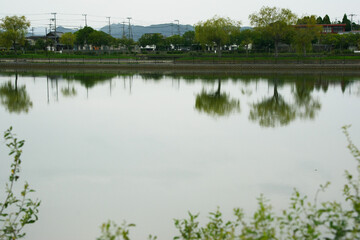 兵庫県・加東市平池公園の風景