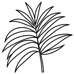 Palm Leaf Line Vector