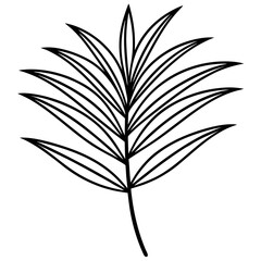 Palm Leaf Line Vector